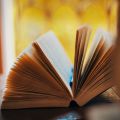 Introducing Cheap Book Paradise