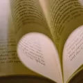 In the Limelight: Exploring the Literary Genius Behind the Book Awards Winners