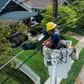 Mastering Electricity: Unleash Your Inner Electrician with These Must-Have How-To Books