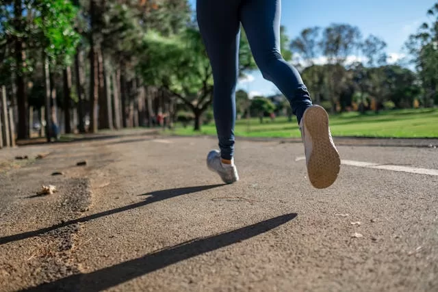 Manual to the best running books