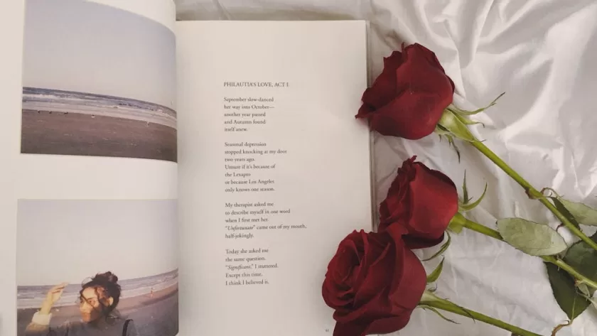Poems for a Lover